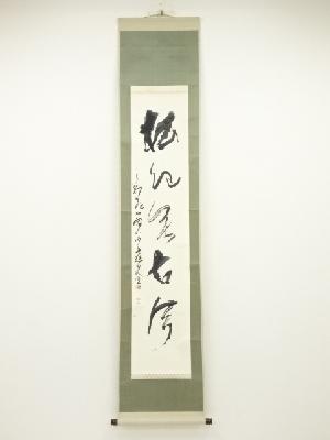 木舟筆　「松色無古今」一行書　肉筆紙本掛軸（保護箱）